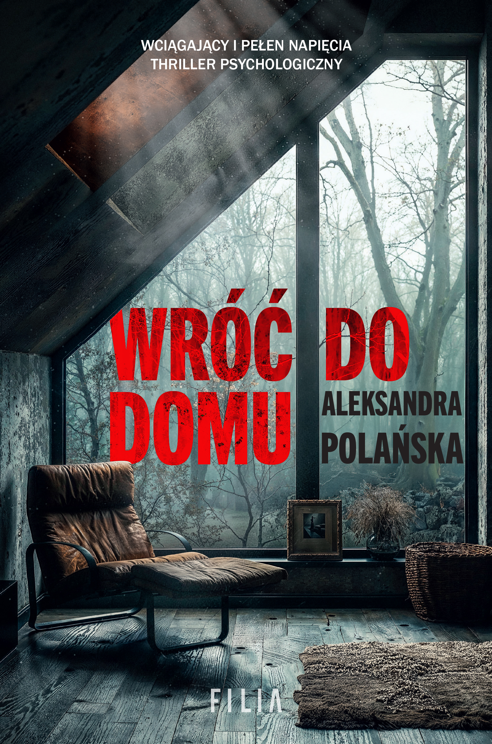 Image of Wróć do domu