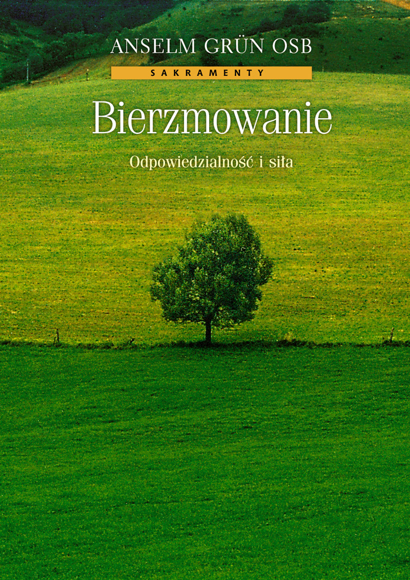 Image of Bierzmowanie. Odpowiedzialność i siła