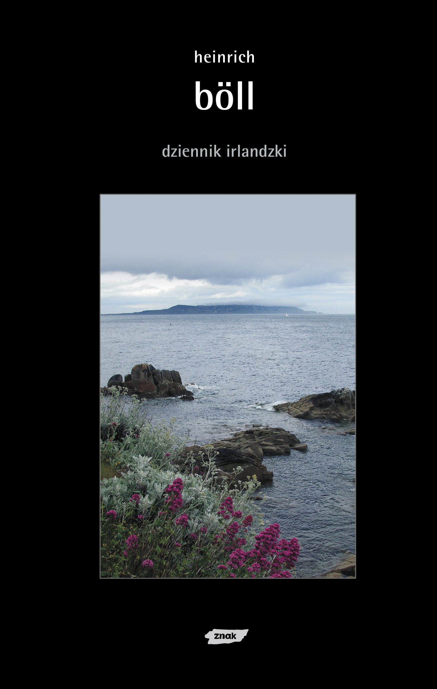 Image of Dziennik irlandzki